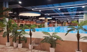 Городской курорт Termoland Пулковский